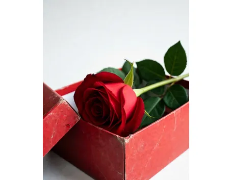 rosa per uomo