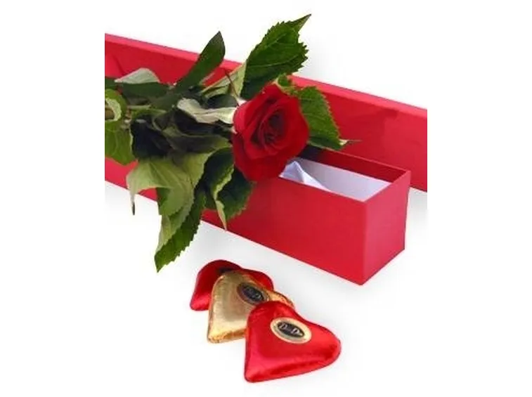 rosa per uomo