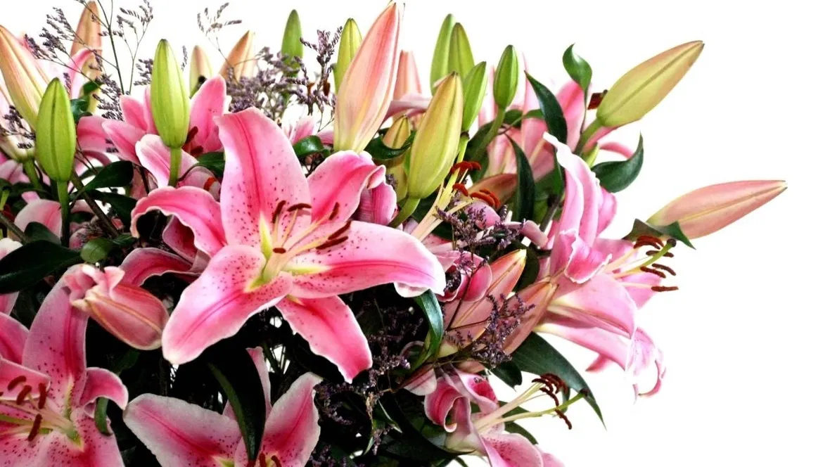 Regalare fiori