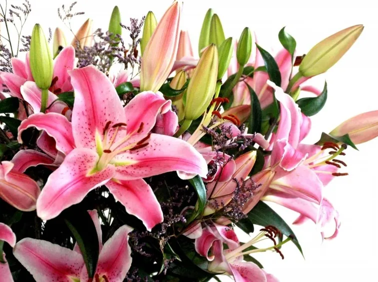 Regalare fiori