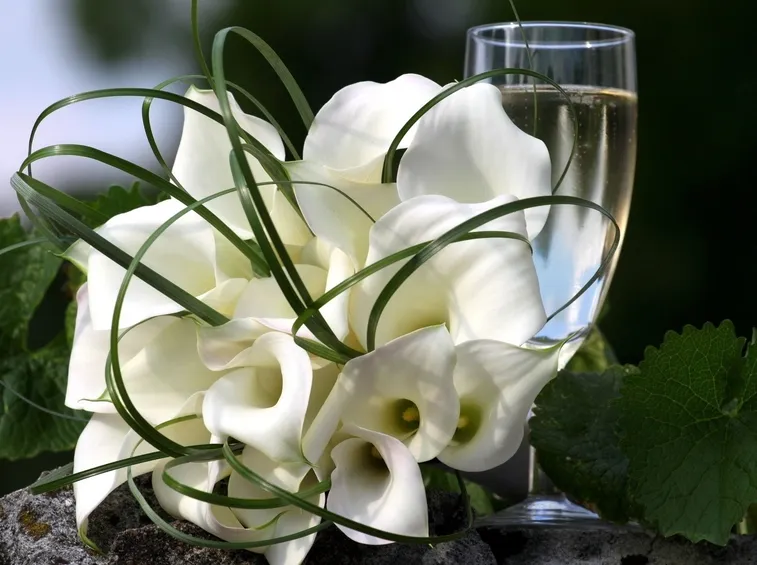 calla matrimonio