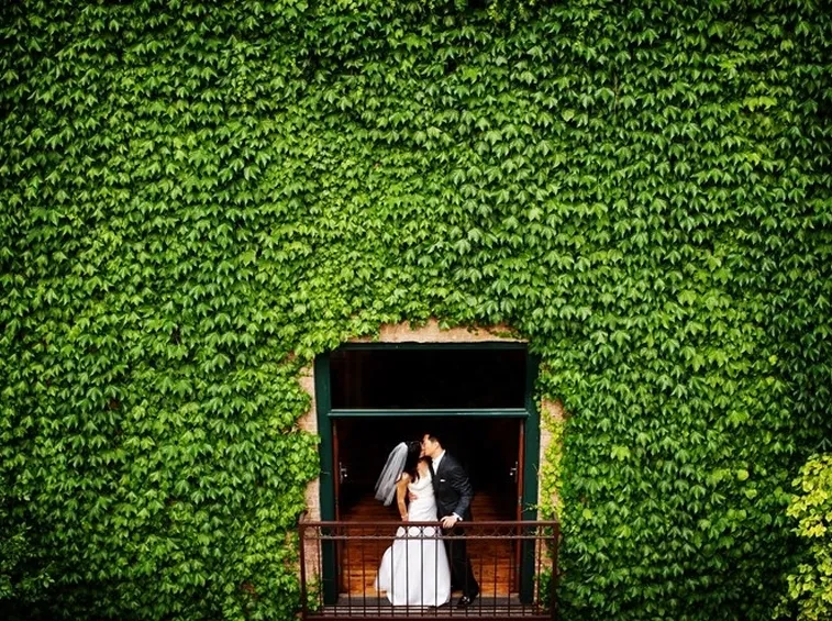 matrimonio con edera