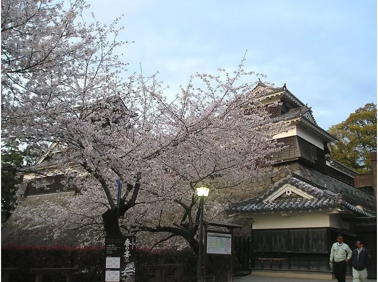 Fiori al Castello di Kumamoto