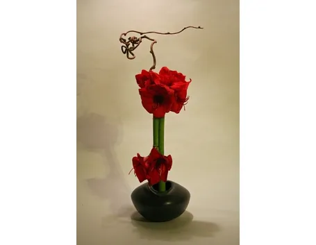 Ikebana con amarilli