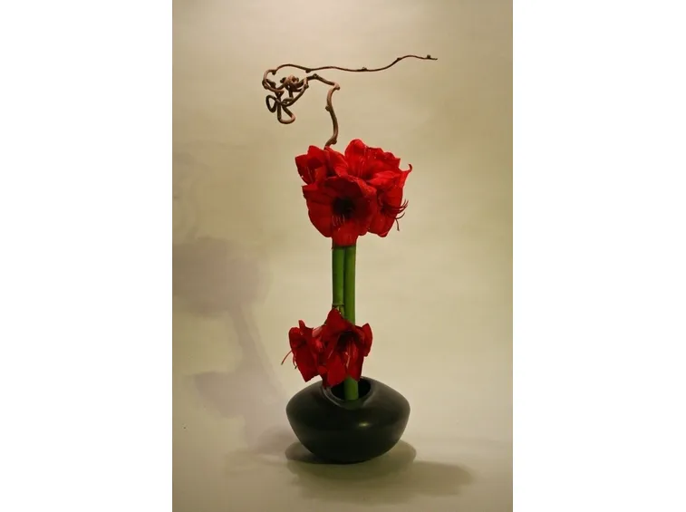Ikebana con amarilli