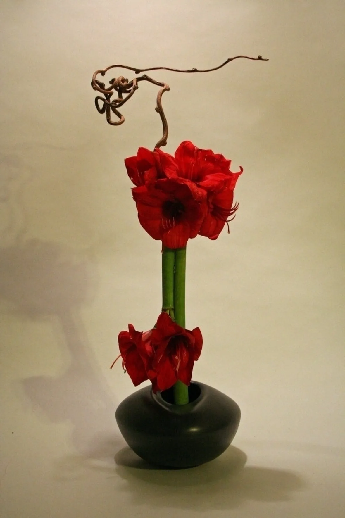 Ikebana con amarilli