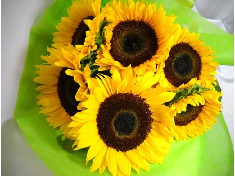 Bouquet di girasoli