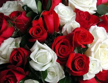 Bouquet di rose rosse e bianche