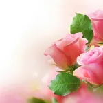 mazzo di rose rosa