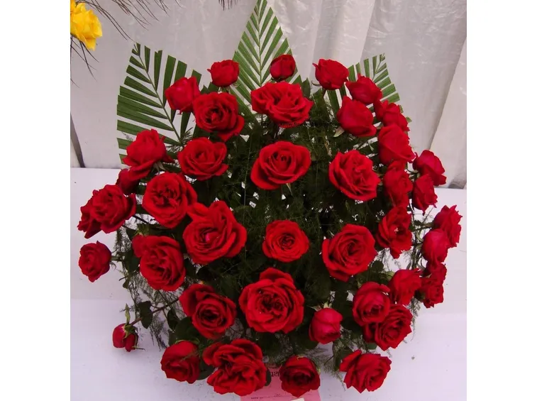 mazzo di rose