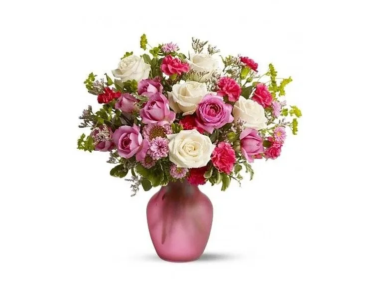rose colori