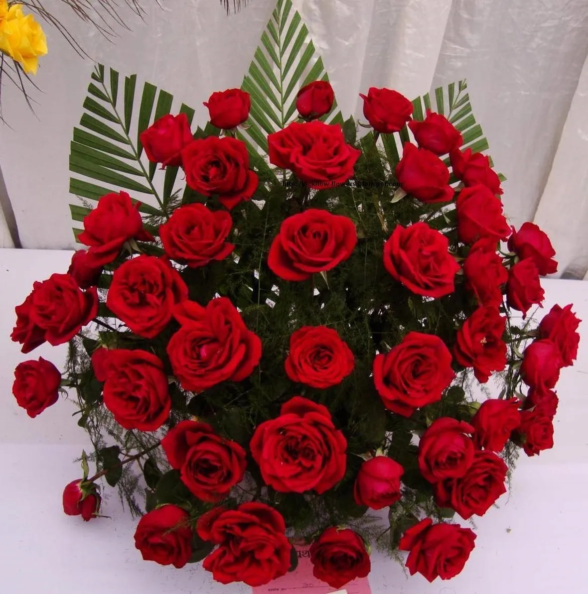 mazzo di rose