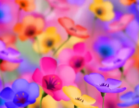 fiori colorati