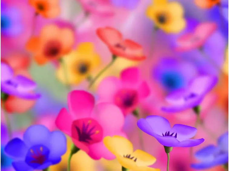 fiori colorati