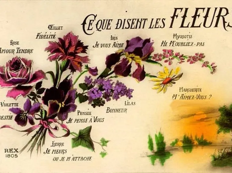 Una pagina illustrata del linguaggio dei fiori