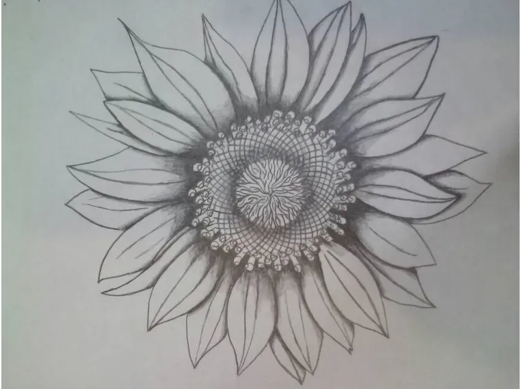 Girasole