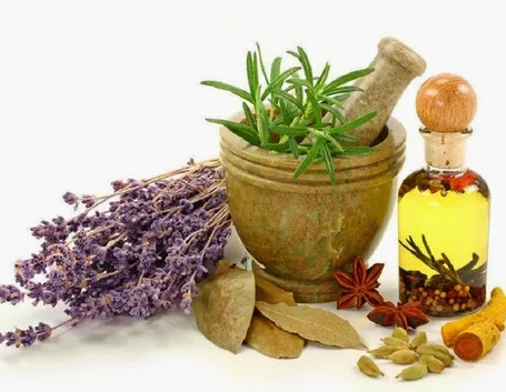 fitoterapia