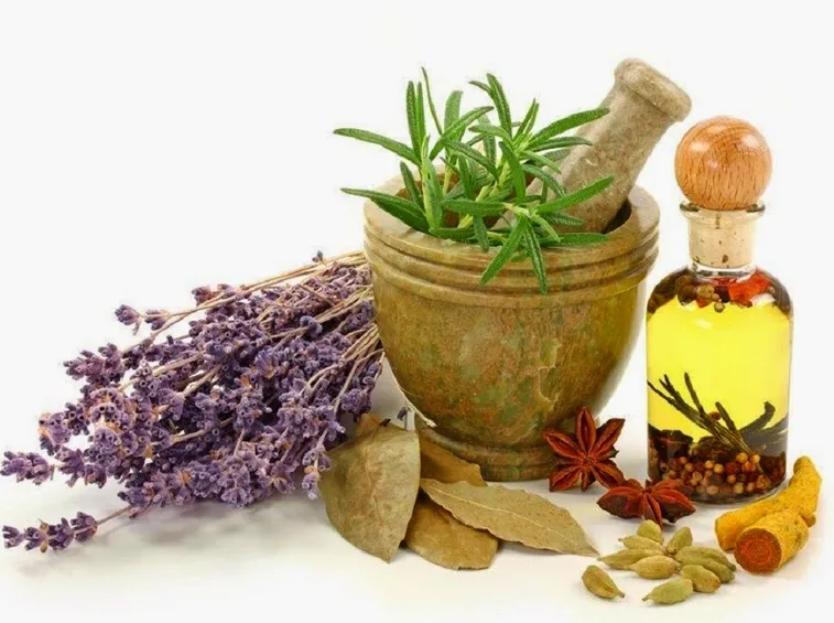 fitoterapia