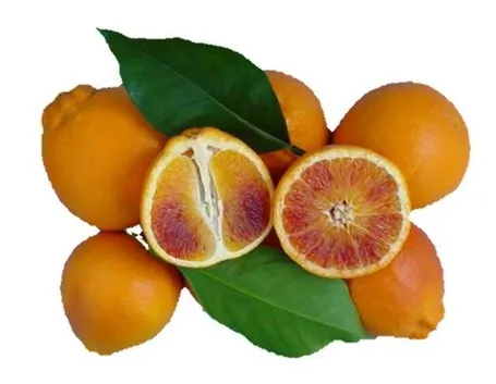 arancia tarocco
