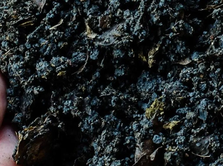 Fertilizzante organico