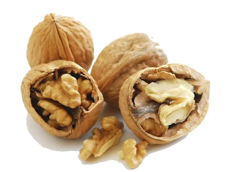 Raccolta delle noci