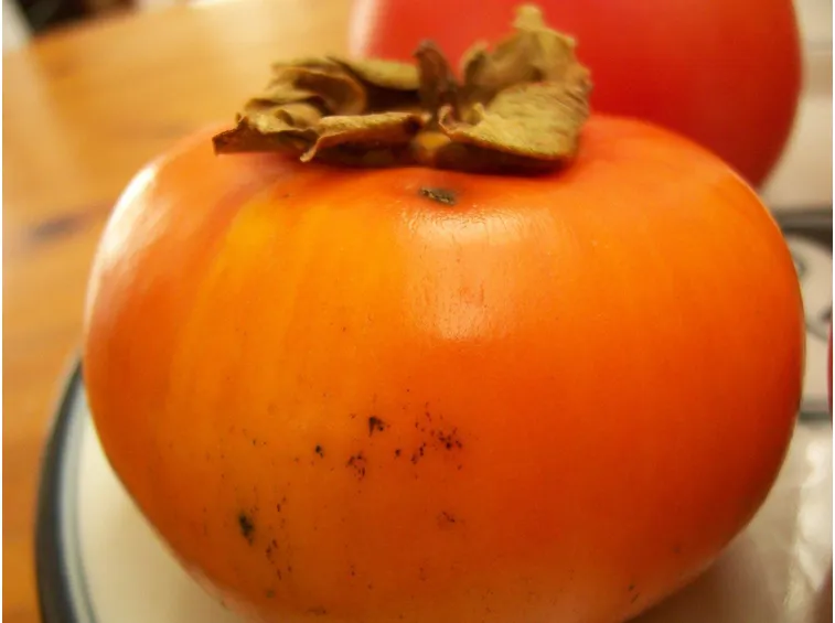 Frutto kaki