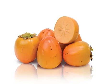 Alberi da frutta del cachi vaniglia