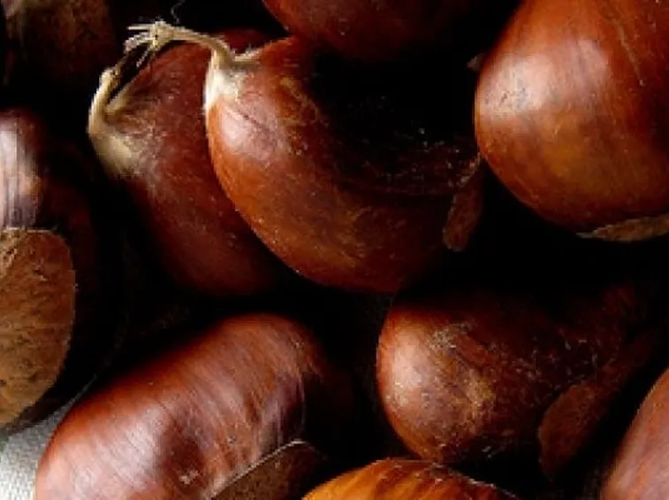 Castagne