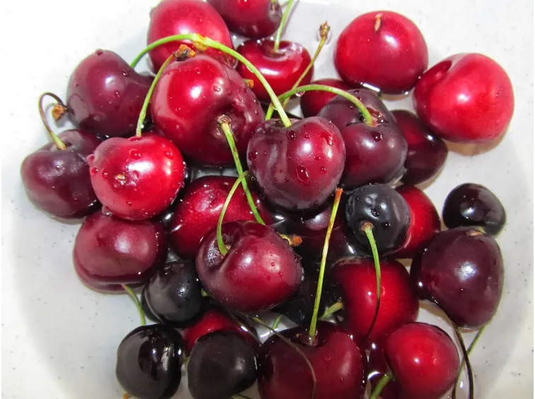 Ciliegie di vignola