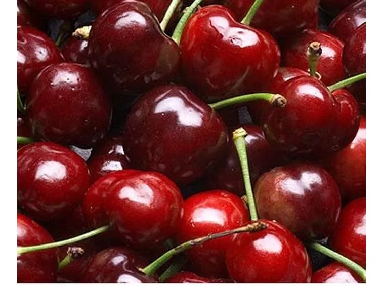 Ciliegie di vignola