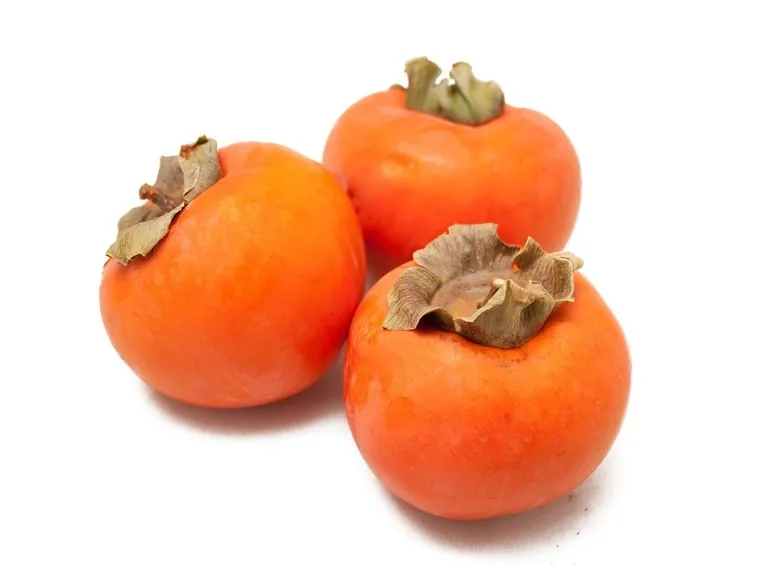 Frutti pianta cachi