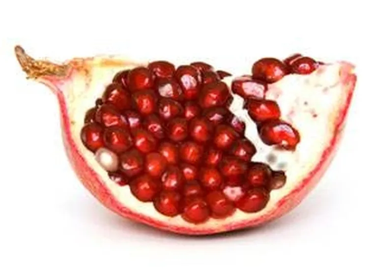 sezione frutto di melograno