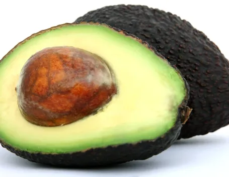 Seme e frutto di avocado