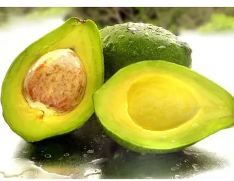 Il frutto della pianta di Avocado