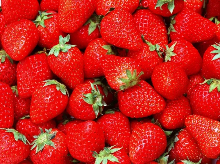 Piatto di fragole