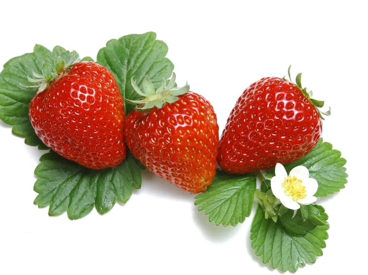 Cesto di fragole