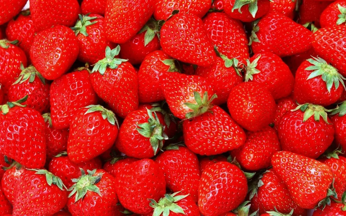 Piatto di fragole