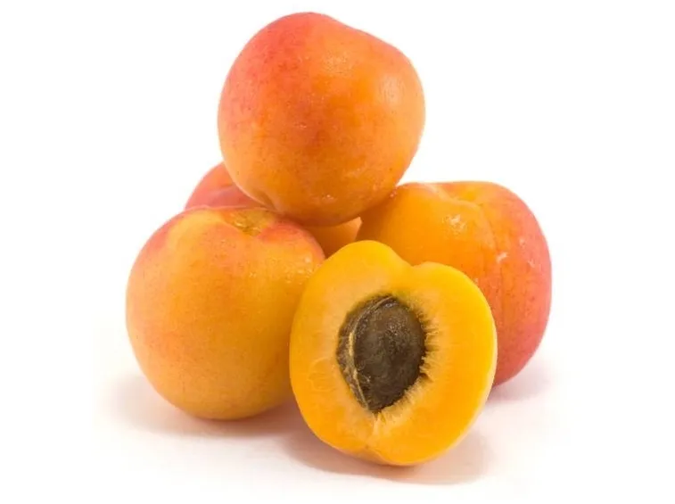 Albicocche