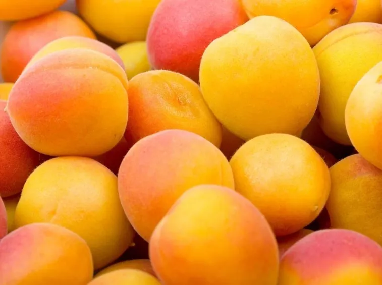 Albicocche fresche