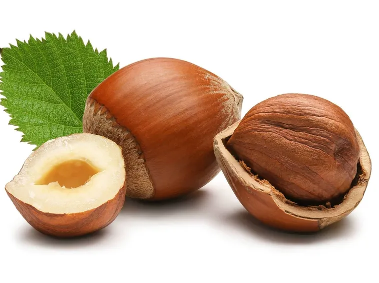 Tipologia di nocciole