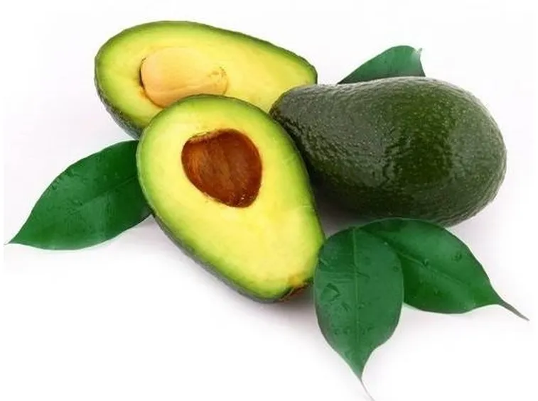 Il frutto di avocado