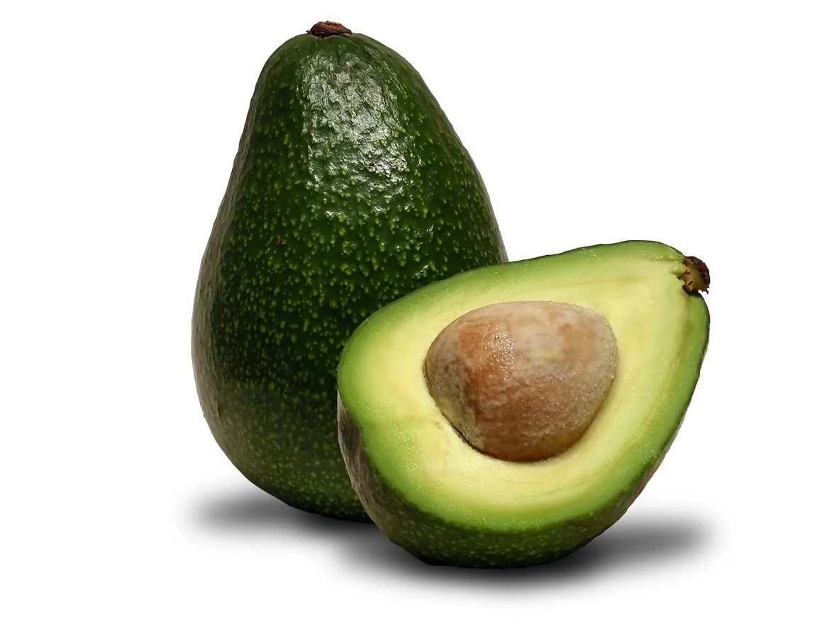 Frutto di avocado