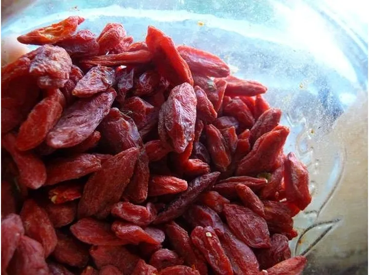 Le bacche rosse di goji
