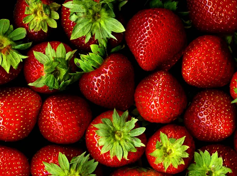 La fragola: un frutto dal colore rosso vivace