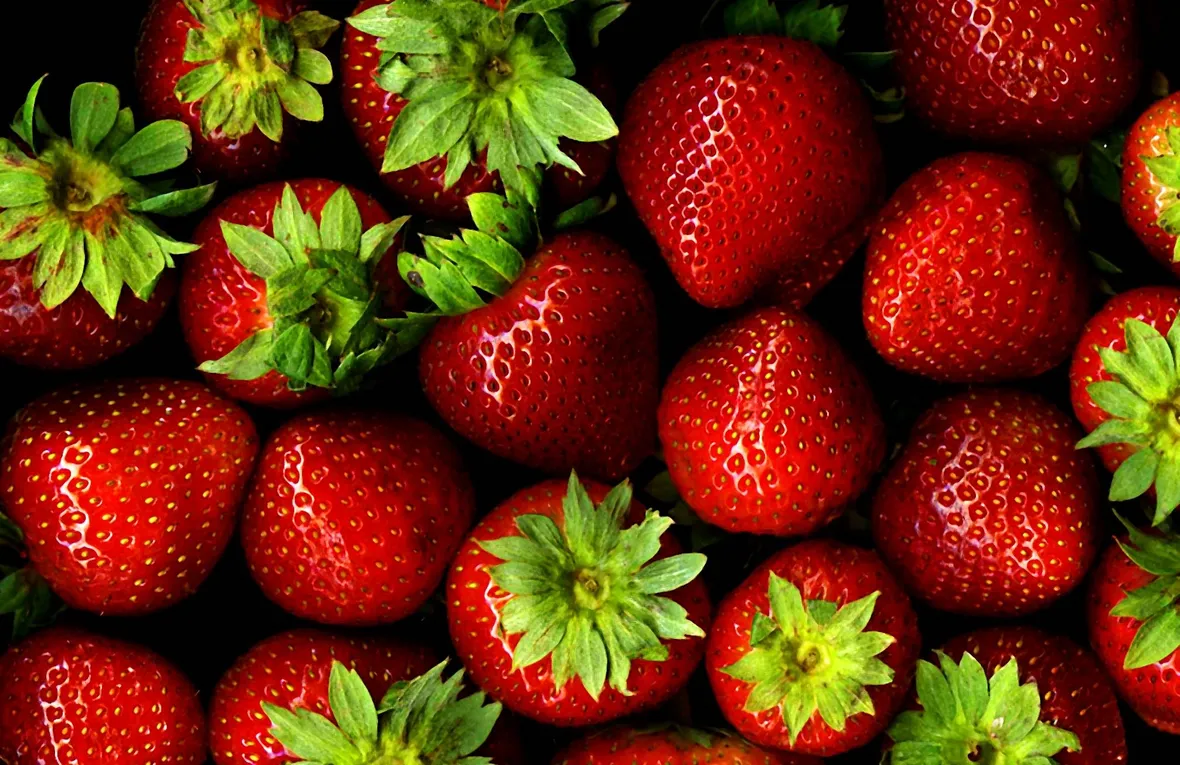 La fragola: un frutto dal colore rosso vivace