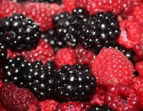 Frutti di bosco