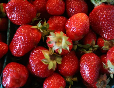 Fragole mature
