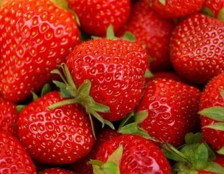 Acheni, i veri frutti