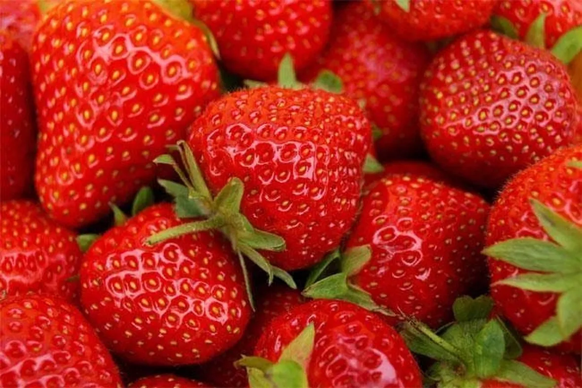 Acheni, i veri frutti