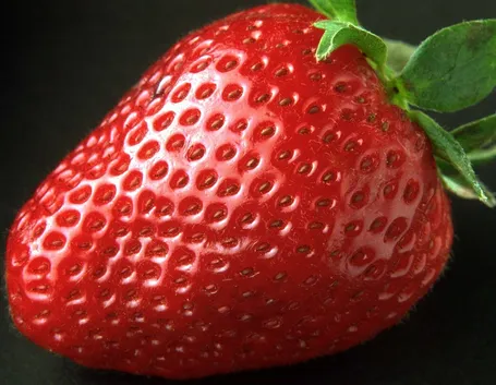 Fragola matura